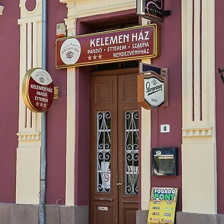 V8-kelemen Panzio