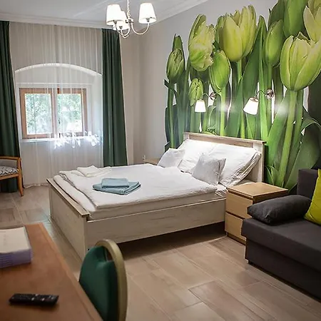 V8-kelemen Panzió 3* Makó