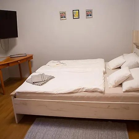 V8-kelemen Panzió 3* Makó