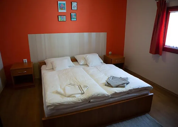 לינה וארוחת בוקר V8-kelemen Panzio