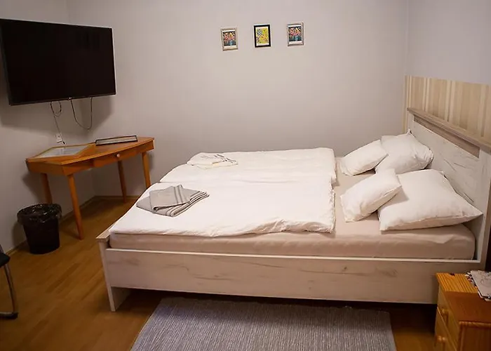 V8-kelemen Panzió 3* Makó